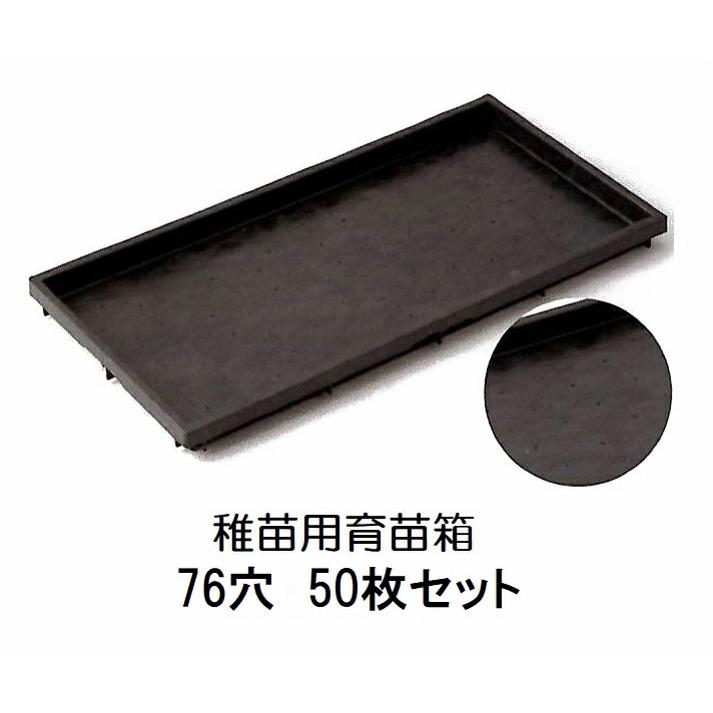 50枚セット) 稚苗用育苗箱 76穴 水稲用 内寸580×280×30 (法人個人選択