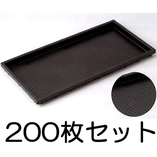 (200枚セット) 中成苗用育苗箱 1300穴 水稲用 内寸580×280×30