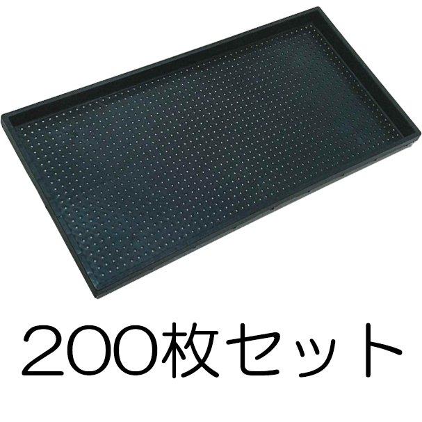 200枚セット) ナーサリートレイ 黒 穴径4mm×1300穴 水稲用 内寸580×280