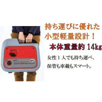 プロモート カセットボンベ式 インバーター発電機 PEG-600iB 定格出力