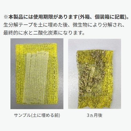 生分解テープ TAPE-20BIO 1箱(5巻入) ベージュ MAX マックス 園芸用