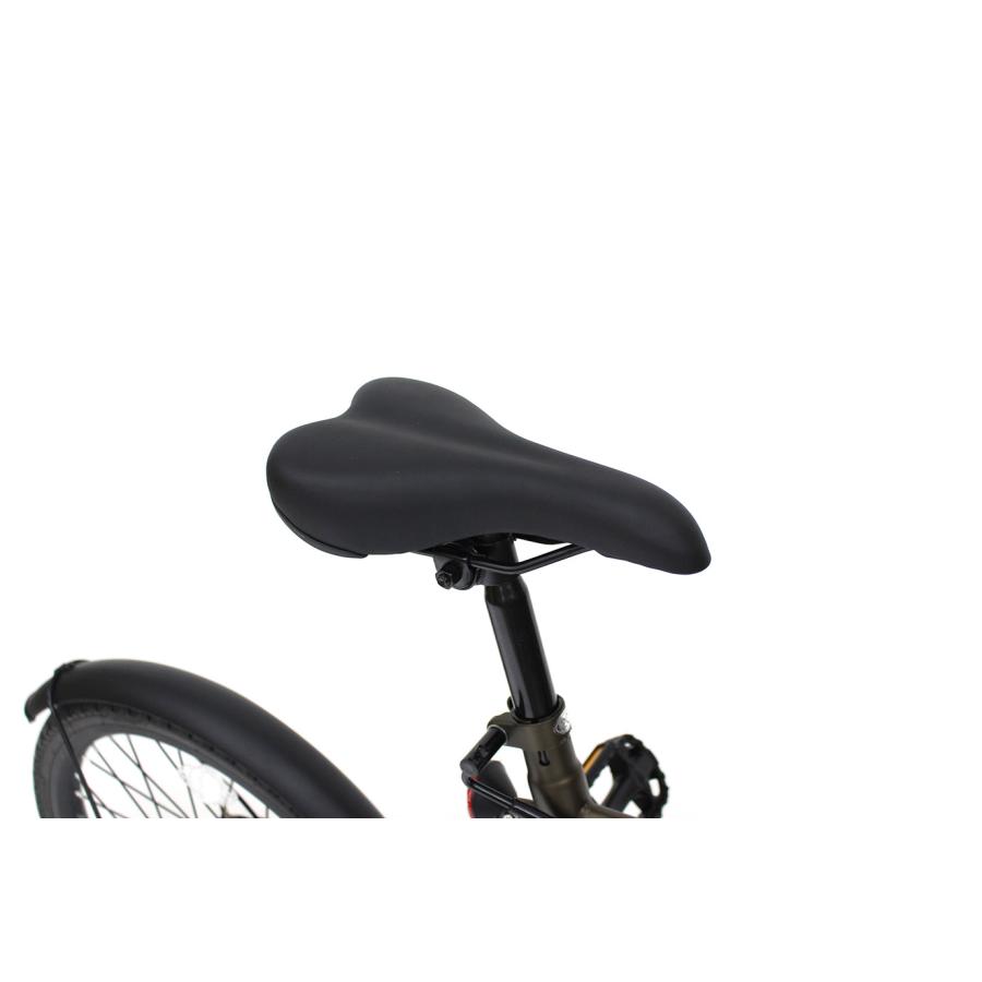 ACTIVEPLUS ノーパンク 20インチ 折りたたみ自転車 MG-AP206NBZ | 6段