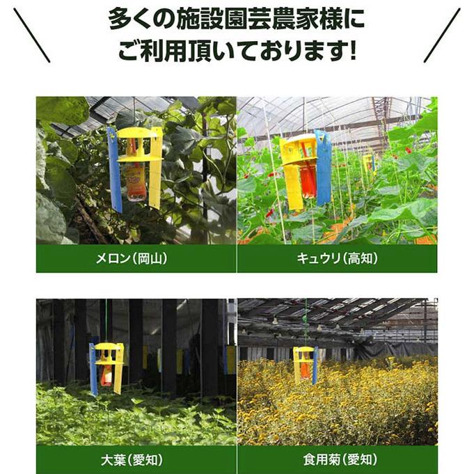 みのる産業 (10台セット) アザミウマキャッチャー CAZ-110 活性式