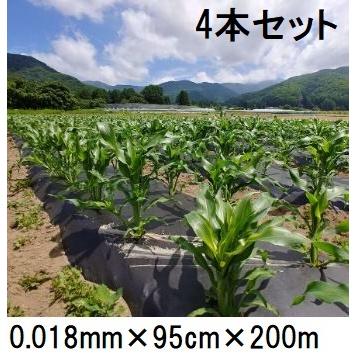 4巻セット特価) 生分解性マルチフィルム キエ丸 黒 0.018mm×95cm×200m 