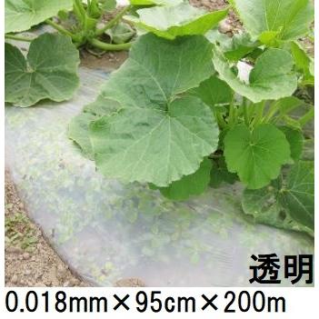 C 未使用 ユニック 生分解性 マルチフィルム キエ丸 透明 950 幅 200m 1ロール 千鳥 製造年不明 農業用品 マルチ 生分解性マルチフィルム キエ丸 透明 0.018×950mm×200m 消えるマルチ