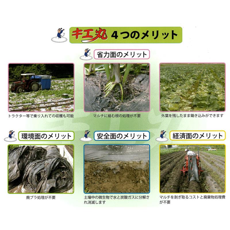生分解性マルチフィルム キエ丸 透明 0.018×950mm×200m 消えるマルチ