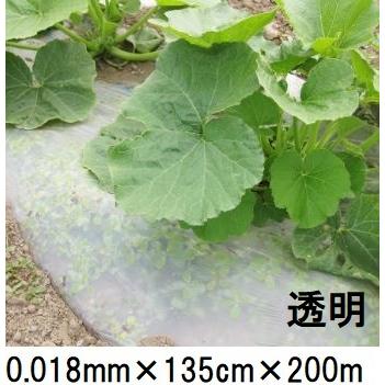 生分解性マルチフィルム キエ丸 透明 0.018mm×135cm×200m 消える