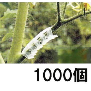 1000個セット) パスカル フレキシブルアーチ 6mm (サポートクリップ