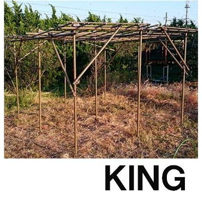 セキスイ フルーツパーゴラ KINGタイプ S-DX 3ｍ×3ｍ×2ｍH キングサイズ 積水樹脂