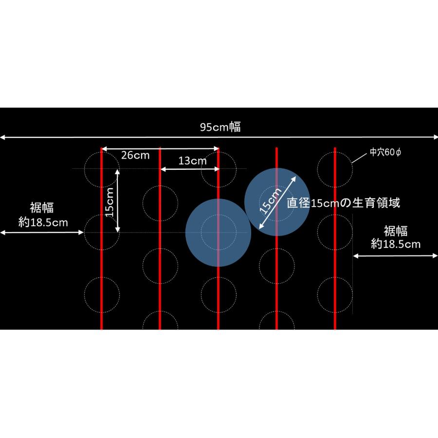 岩谷マテリアル (12巻セット特価) イワタニ 菜園用 フリーホール 黒