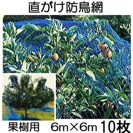 徳用10枚セット) 果樹用 直がけ防鳥網(青) 6m×6m 20mm目 1000d (強力
