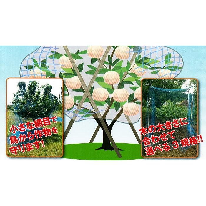 徳用5枚セット) 果樹用 直がけ防鳥網(青) 9m×9m 20mm目 1000d (強力