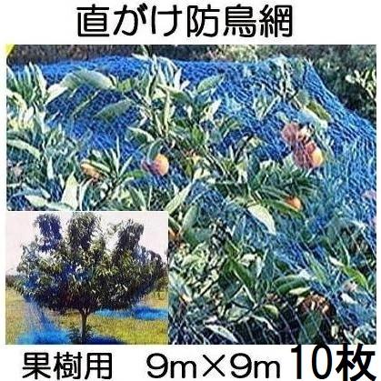 1ケース特価 10枚セット) 果樹用 直がけ防鳥網(青) 9m×9m 20mm目