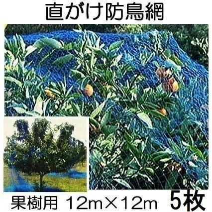 1ケース特価 5個セット) 果樹用 直がけ防鳥網(青) 12m×12m 20mm目