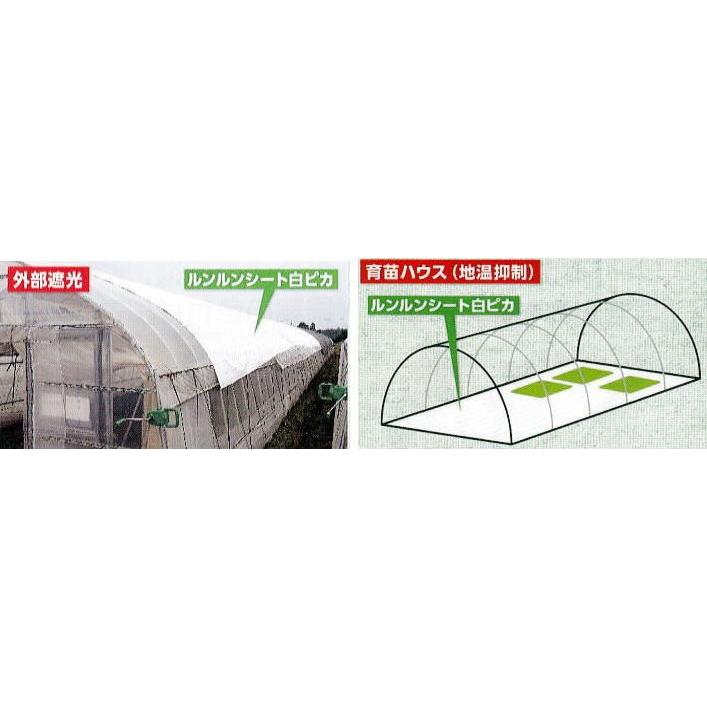 ルンルンシート 白ピカ 幅 50cm×100ｍ 光合成促進 遮熱性 防草シート 小泉製麻 (法人個人選択)｜tackey｜03