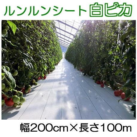 100 本物保証 ルンルンシート 白ピカ 幅0cm 100ｍ 光合成促進 遮熱性 防草シート 小泉製麻 法人個人選択 Saka 即納特典付き Www Thedailyspud Com