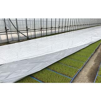 岩谷マテリアル イワタニ 水稲用 ハイホワイトシルバー 厚0.05mm 幅