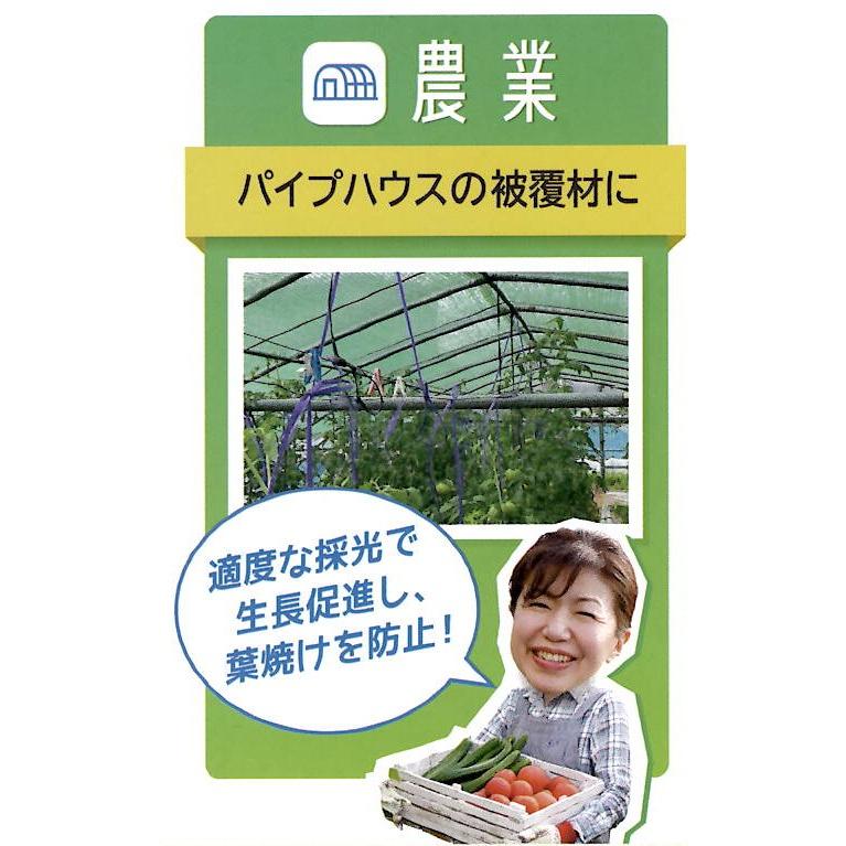 日本マタイ 昇温抑制遮光ネット 幅2m×長さ50m モスグリーン色 遮光率
