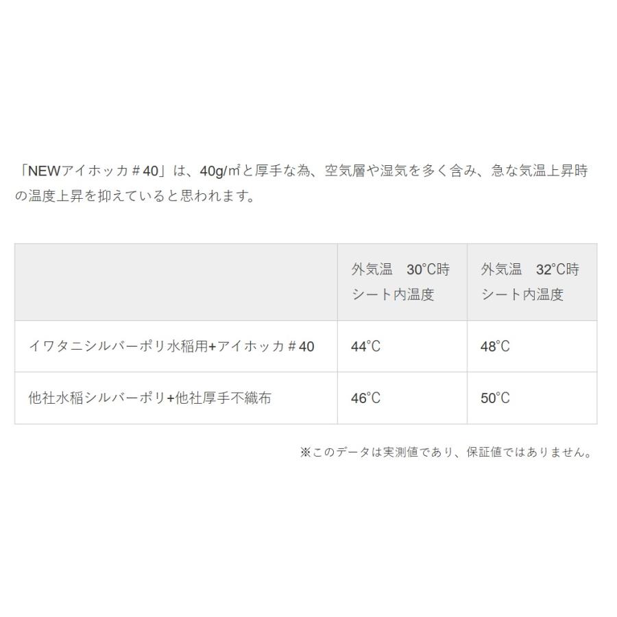 (2本) イワタニ NEWアイホッカ#40 幅120cm×100m 育苗用保温不織布 厚手40g/m2 岩谷マテリアル (法人 or 運送会社営業所止め) | 岩谷マテリアル | 03
