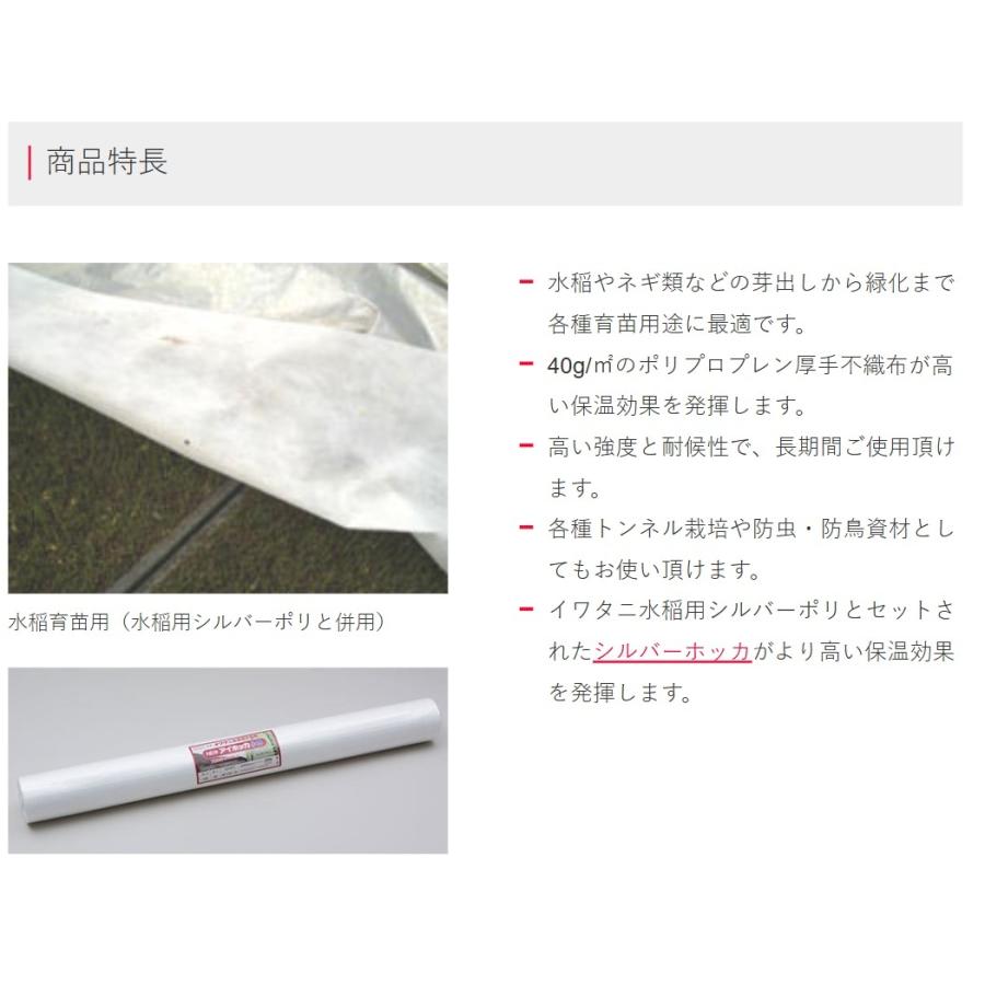岩谷マテリアル イワタニ NEWアイホッカ#40 幅300cm×100m 育苗用保温