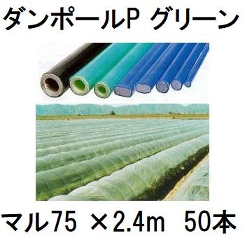 50本セット) ダンポールP マル75×2.4m 緑 トンネル幅120cm トンネル