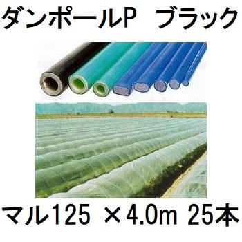 希少！アグネス・ラムパネル Amazon.co.jp: 額装品アグネスラム/若い頃・グラビア/昭和レトロ