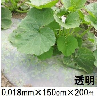 生分解性マルチフィルム キエ丸 透明 0.018mm×150cm×200m 消える