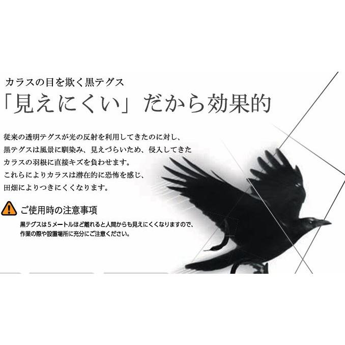 (3巻セット) ハナオカ 防鳥ナイロンテグス 黒スリム 3000m 鳥よけ黒糸 黒テグス YTB-4300 黒Slim カラス被害 (zmG4 ...