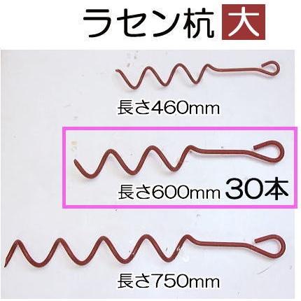 30本セット特価 ラセン杭 大 F13 600mm 赤錆止め塗装 らせん杭 ビニールハウス パイプ倉庫の固定に Oebr0005 ザ タッキーyahoo 店 通販 Yahoo ショッピング