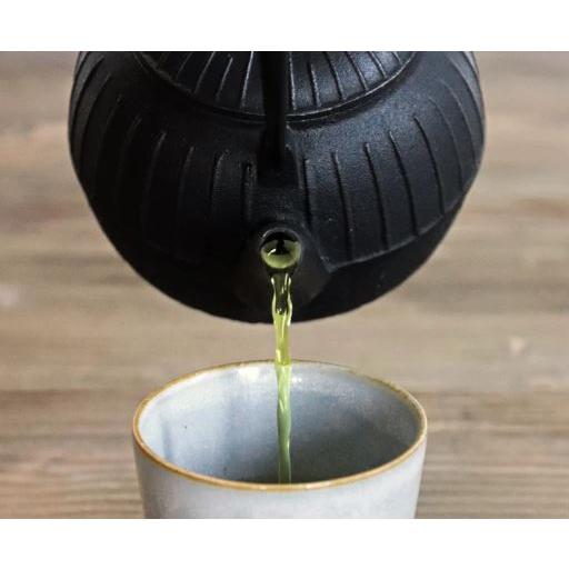 及源鋳造 (正規品 特選国産品) 南部鉄器 鉄急須 千草 若草 0.55l E-098
