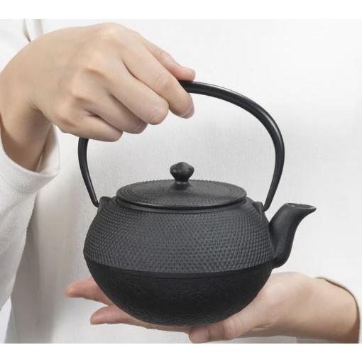 及源鋳造 (正規品 特選国産品) 南部鉄器 鉄急須 まろみアラレ 0.65l E