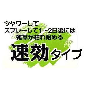 (徳用6本セット) 速効タイプ 草枯れ一番シャワー 1000ml 除草剤 パネフリ工業_2