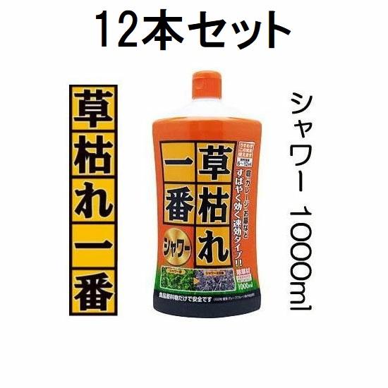 日本全国送料無料 ケース特価 速効タイプ 草枯れ一番シャワー 1000ml 12本セット 除草剤 草枯れ一番 シャワー パネフリ工業 新しい到着 Zoetalentsolutions Com