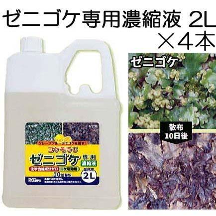 4本セット コケそうじ ゼニゴケ専用濃縮液 パネフリ工業 花 ガーデニング 2l 4