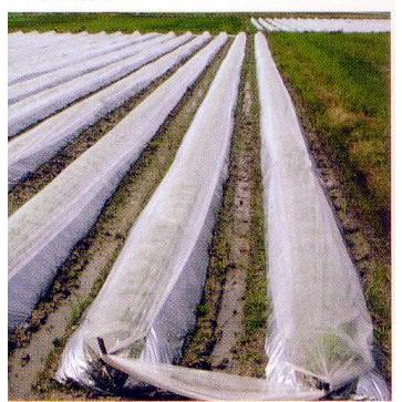 農業用べたがけ資材 パオパオ90 120cm×200m 透光率90％ 九州の法人