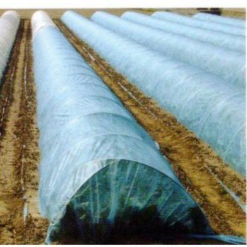 不織布 農業用べたがけ資材 青パオパオ 150cm×200ｍ 透光率85％  九州の法人なら送料無料