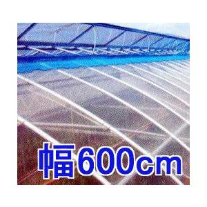 カット販売 塗布無滴 農POフィルム イースター 厚み0.1mm×幅600cm×長さ30ｍ 重さ約17.1kg MKVアドバンス