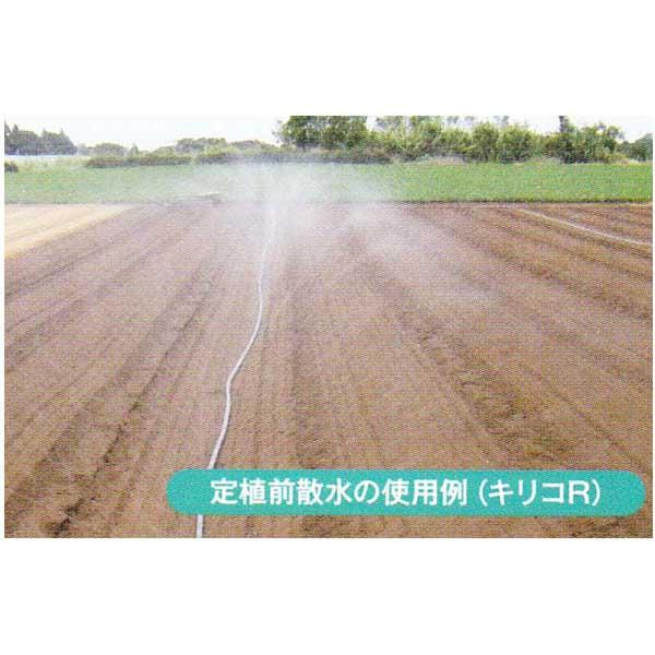 潅水チューブ キリコ R型 100m MKVアドバンス zm : ザ・タッキーYahoo 