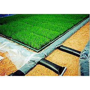 2巻セット) 育苗プールシート ぷーるっこ Bタイプ 160枚用 0.1mm×190cm 