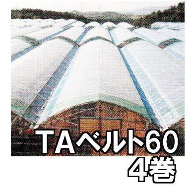 4巻セット) 東罐興産 トーカン TAベルト60 ハウスバンド ハウス農PO