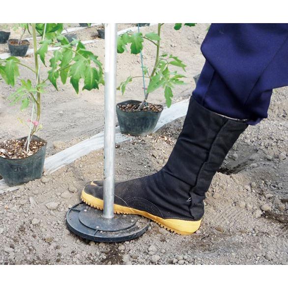 asika　4口 DOL]アナザーリアリスティックキャラクターズ003 見崎鳴(みさきめい