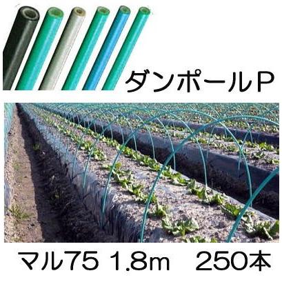 【中古】【店頭引取限定】宇部エクシモ株式会社　ダンポールPマル105×60グリーン　25本×9セット　11000円(税込) 徳用250本セット) ダンポールP マル75 ×1.8m 緑 トンネル幅90cm 宇部