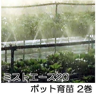 2巻セット特価) ミストエース20 ポット育苗 100m巻×2 (超微細噴霧散水