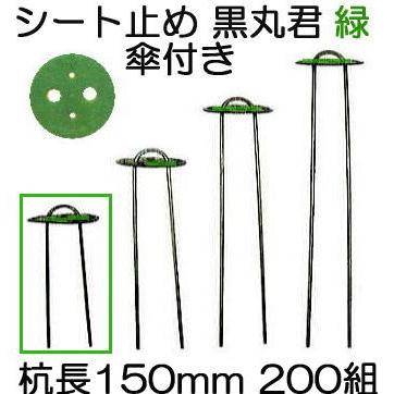 黒丸君 (黒丸君板 4穴 緑 と スチール杭 足長15cm) ヘアピン杭