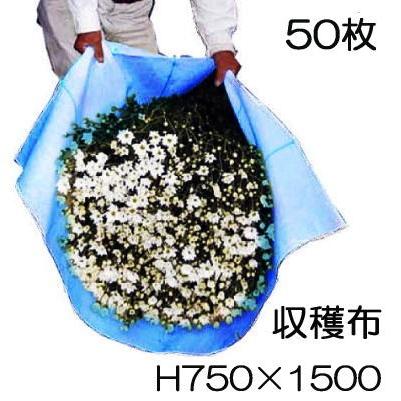 50枚セット) ベンリークロス 収穫袋 収穫布 H750×1500 ブルー