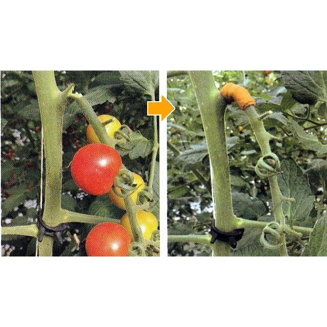 5巻セット) トマトの包帯 オレンジ 25mm幅×5m 手でちぎる 伸縮性