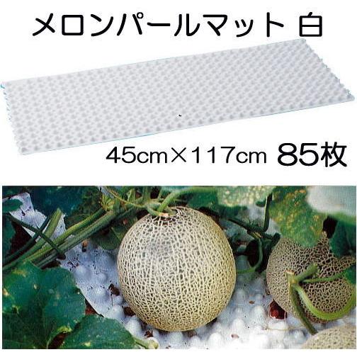 メロンパールマット メロン栽培用下敷きマット メロン用スノコ 85枚 Saka0806 ザ タッキーyahoo 店 通販 Yahoo ショッピング
