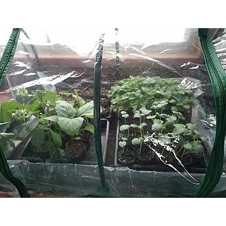 らくらく園芸マット ひなたぼっこ900E HB-20E 加温用 屋内用 昭和精機