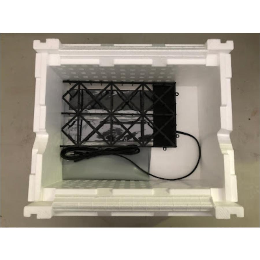 BEE-HIVE フライヤー Bフライヤー2 サーモスタット付 (別売のビーフライ)羽化用キット ビー