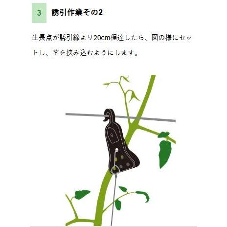 くきたっち　　誘引資材　　トマト誘引 生産資材】 くきたっち誘因紐（くきたっちゆういんひも） ｛ナス